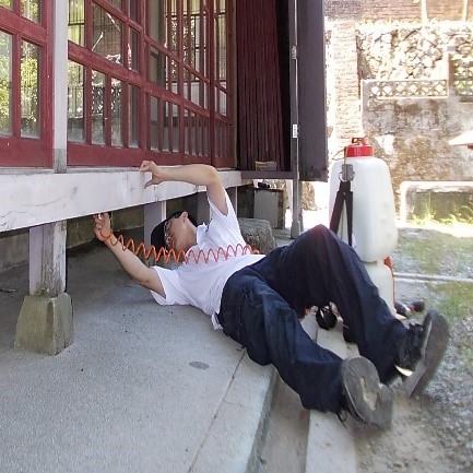 板橋白蟻防治